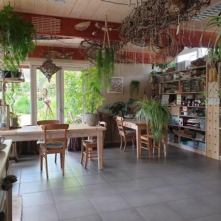 Appartementen Het Oude Atelier Schoorl Eksteriør bilde