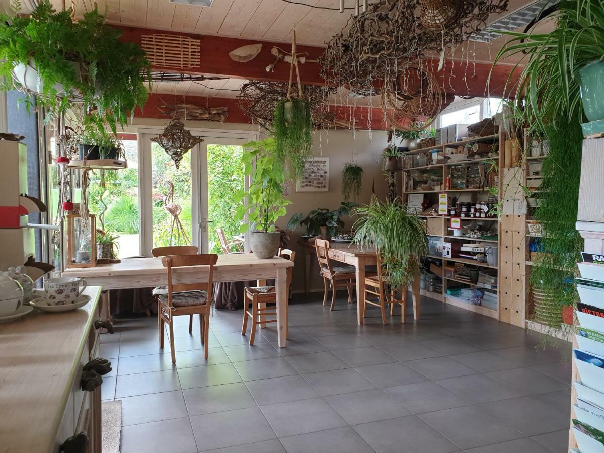 Appartementen Het Oude Atelier Schoorl Eksteriør bilde