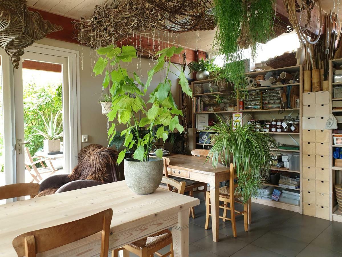 Appartementen Het Oude Atelier Schoorl Eksteriør bilde